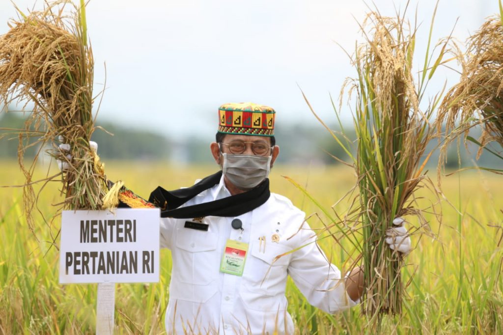 Mentan SYL dan Bupati Sukoharjo Etik Suryani menghadiri  panen padi