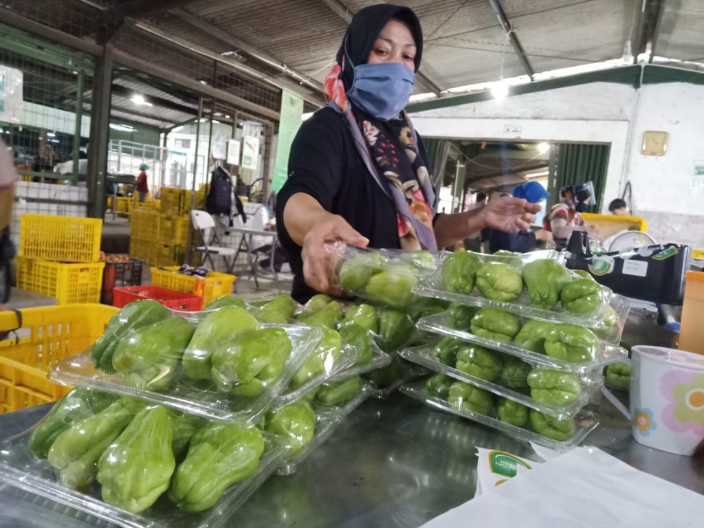 Pentingnya Teknologi Pasca Panen Bagi Petani