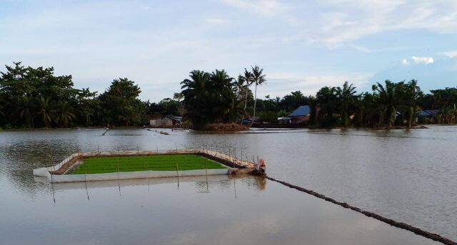 Kementan Siapkan Bantuan Benih Untuk Petani Sergai Yang Terdampak La Nina