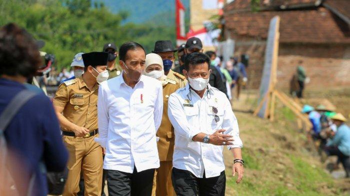Presiden Jokowi: Produksi Padi Dalam Kondisi Optimal